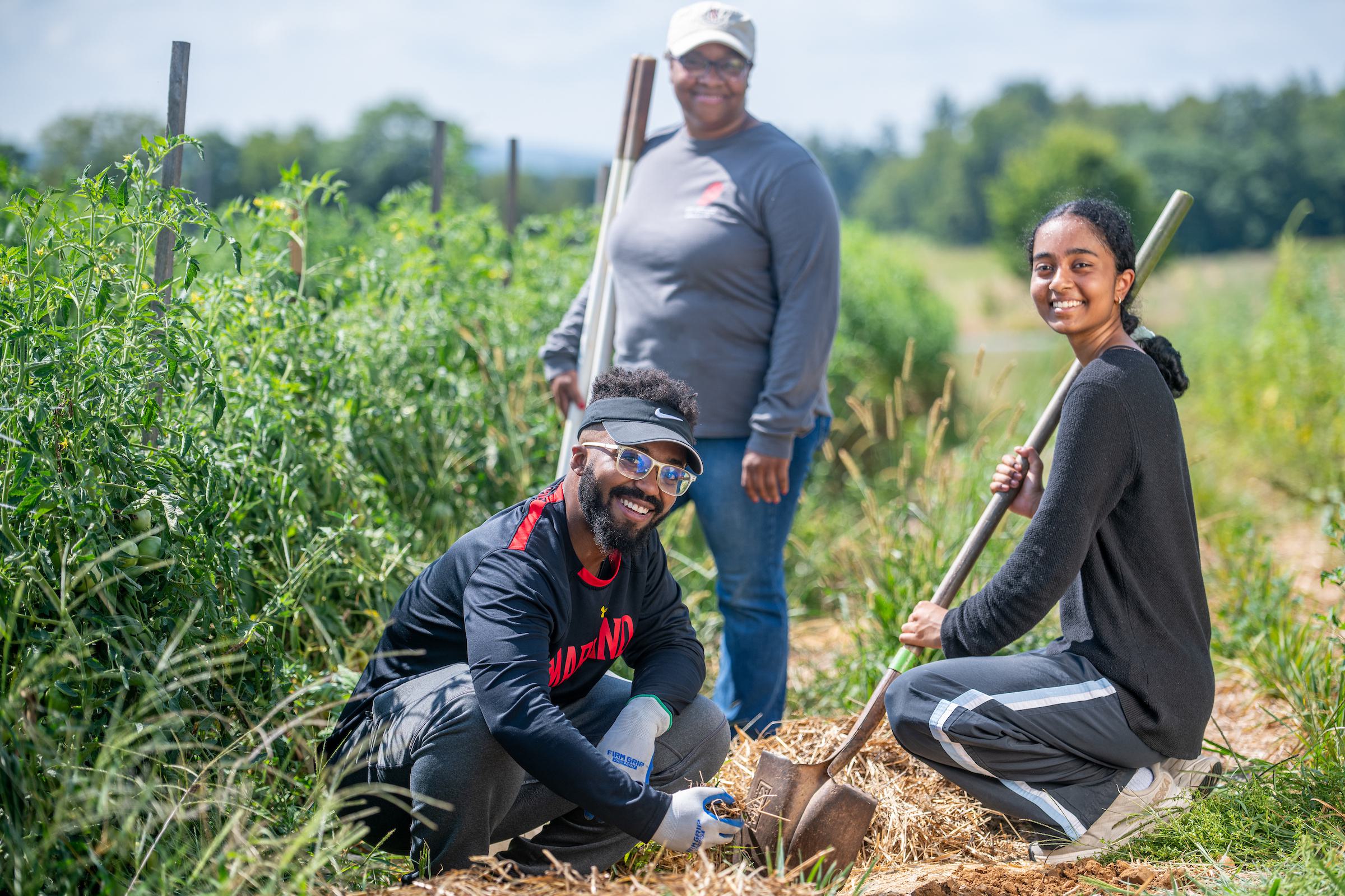 Agr Workforce AGNR Home | Forward Campaign