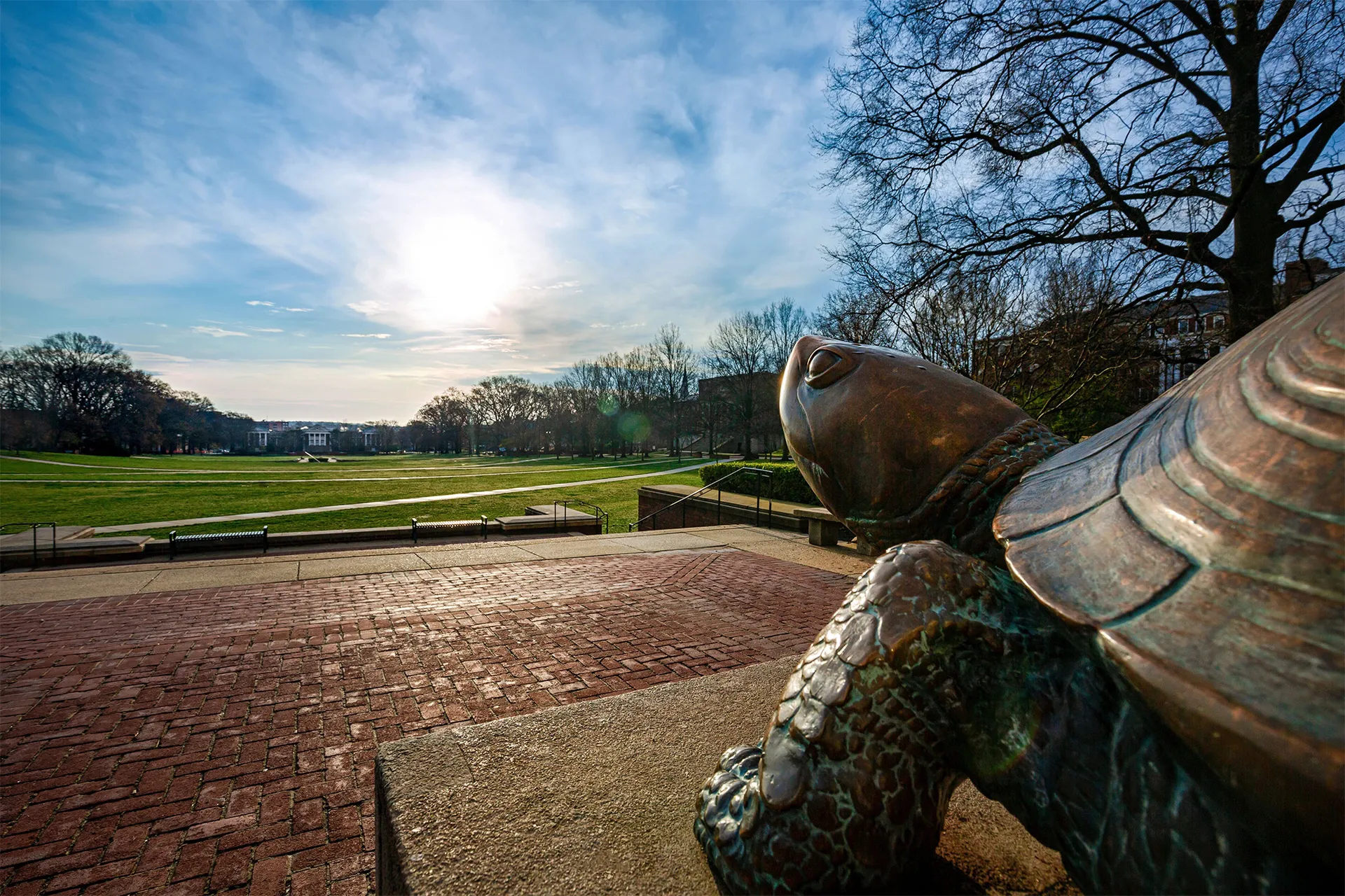 Bronze Testudo statue staring down McKeldin Mall