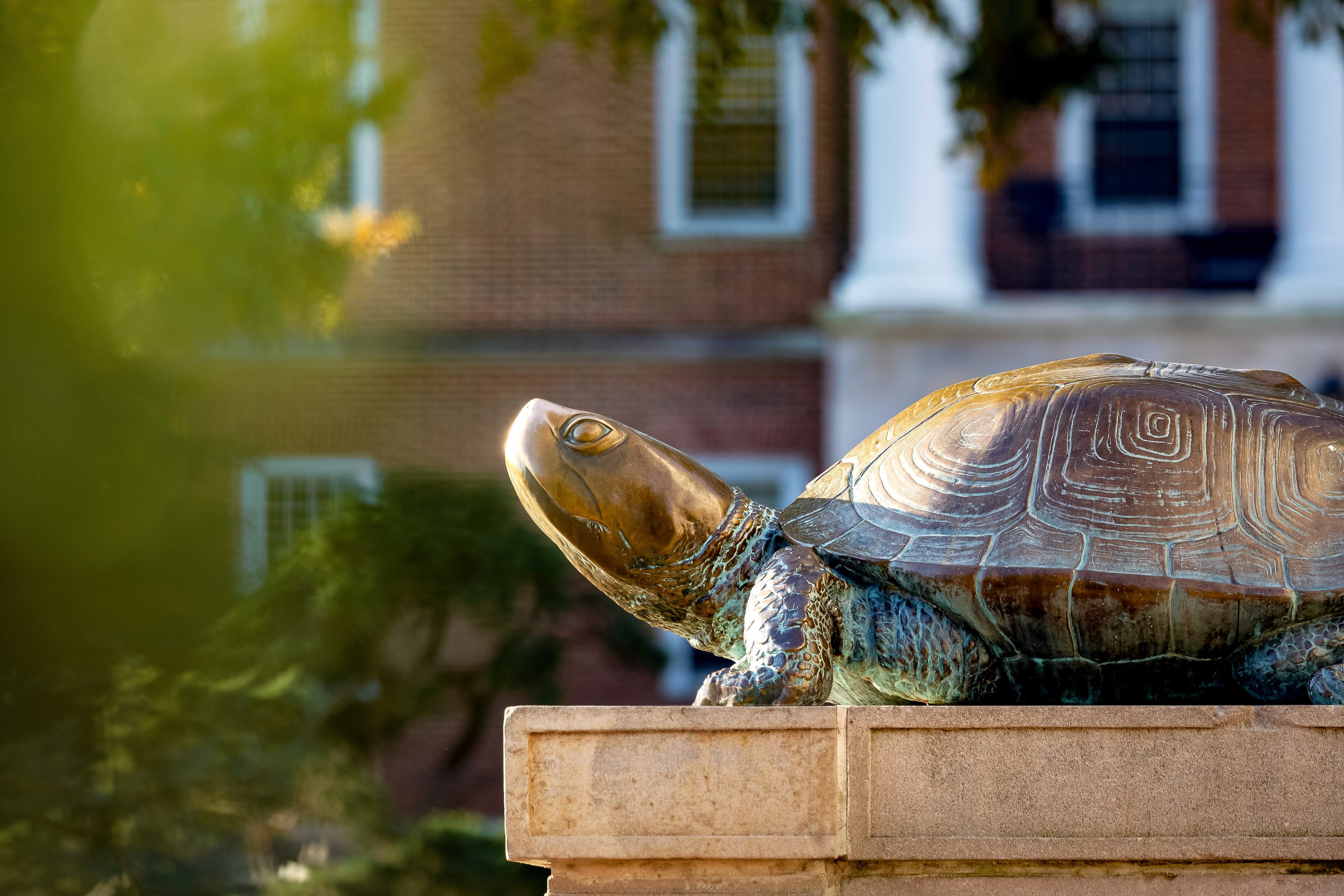 2 Testudo Statue Mc Keldin
