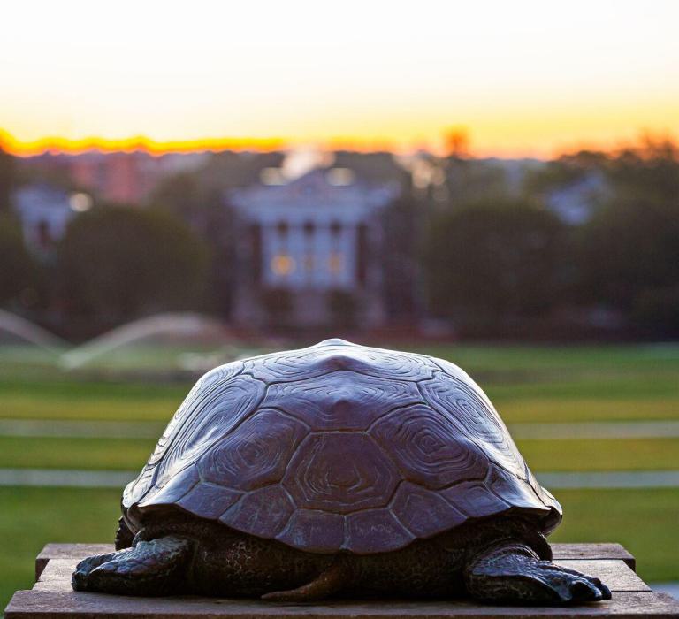 Bronze Testudo turtle statue perched on a stone pedestal, with the sunlit University of Maryland campus lawn and distant buildings softly out of focus in the background