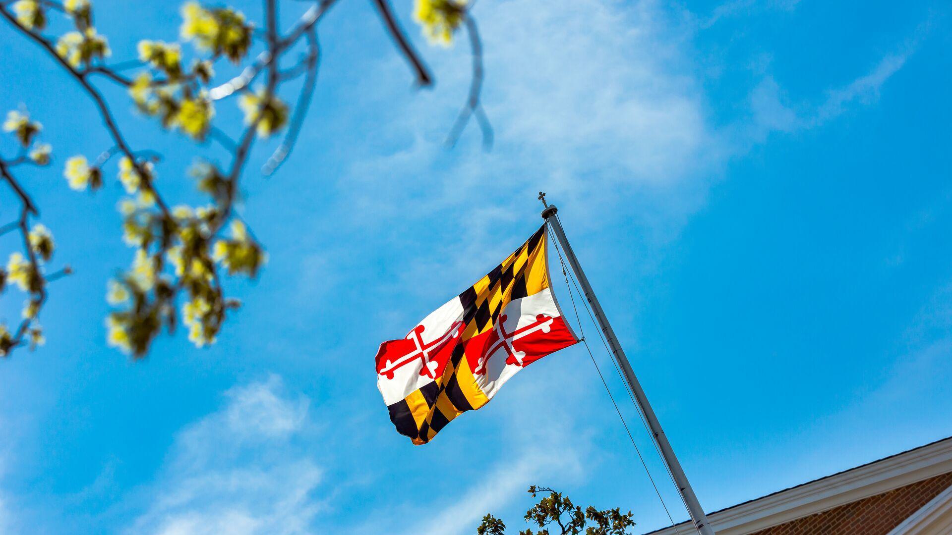 Maryland Flag