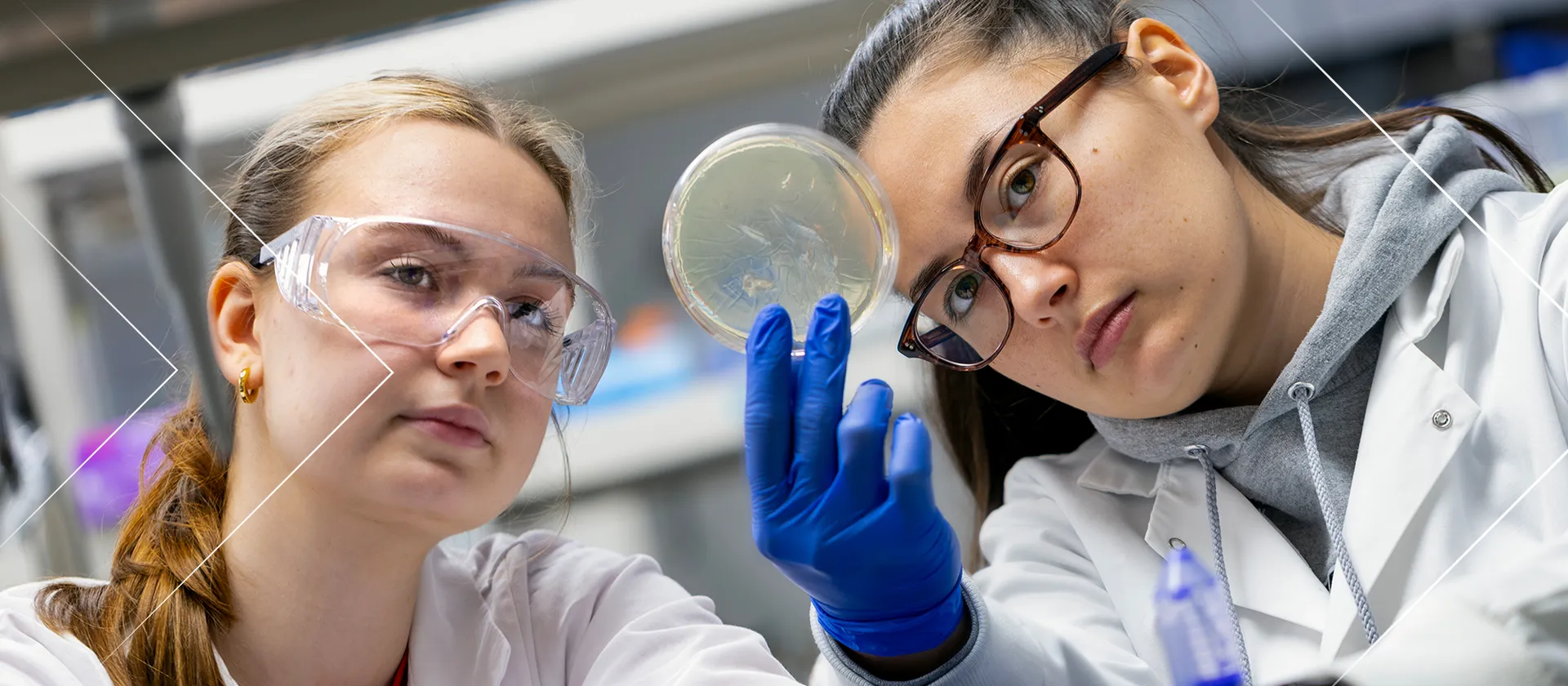 Two students in lab coats examine a petri dish in a laboratory. One wears safety goggles, and the other wears glasses and blue gloves while holding up the dish for closer inspection.