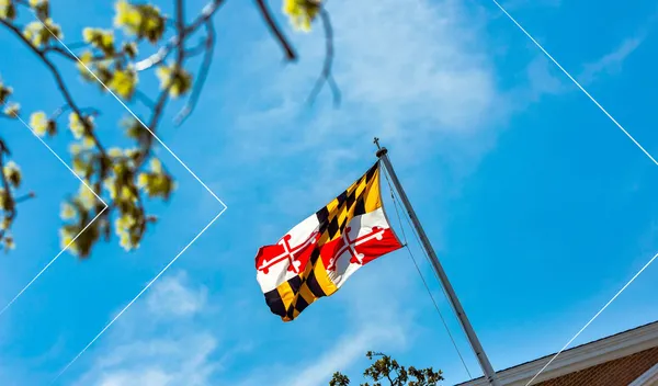 Maryland flag with forward arrows