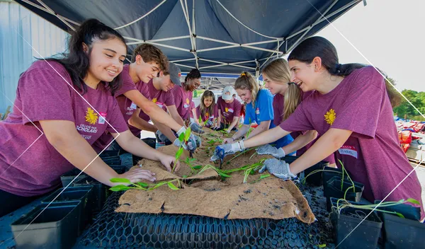 Students working outside together