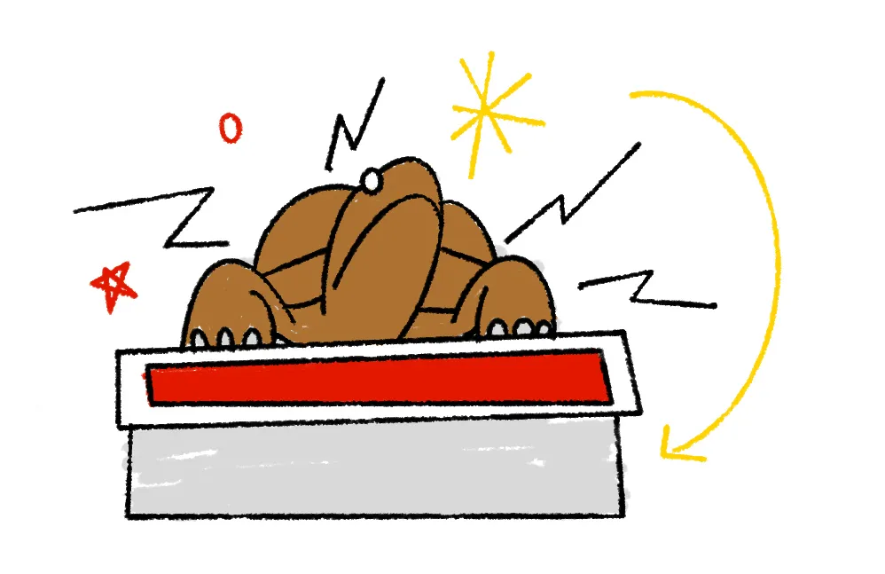 illustration of Testudo statue